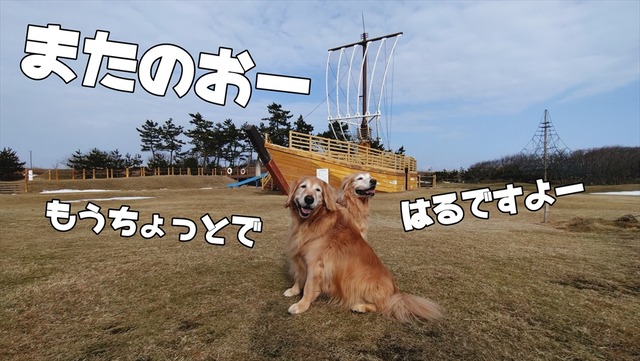 20260212_093815699_R