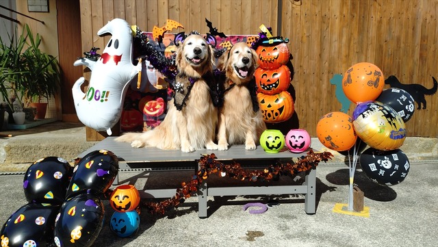 20251018_090758537_R