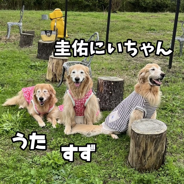 6597d09f-81e9-45ee-9264-1bcc11471ec4