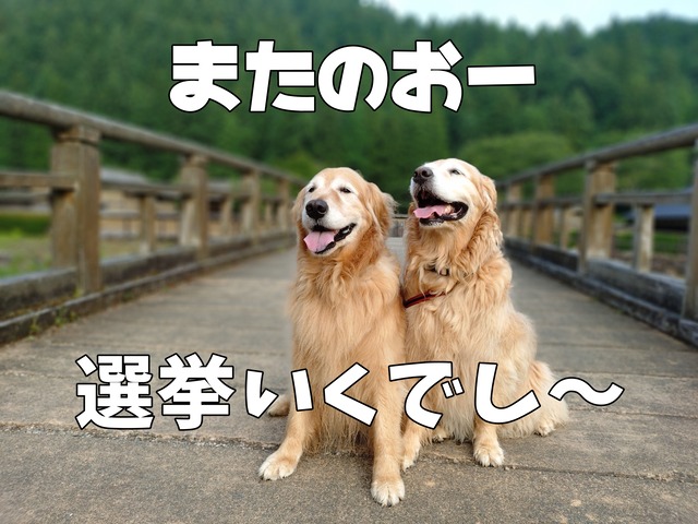 20250707_061402645