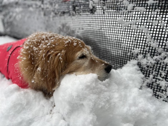 707399f6-0f10-4397-8c02-30705c1106e6