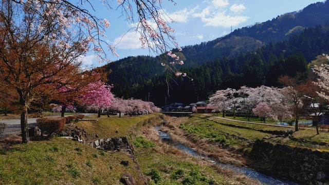 20260408_090939501_R