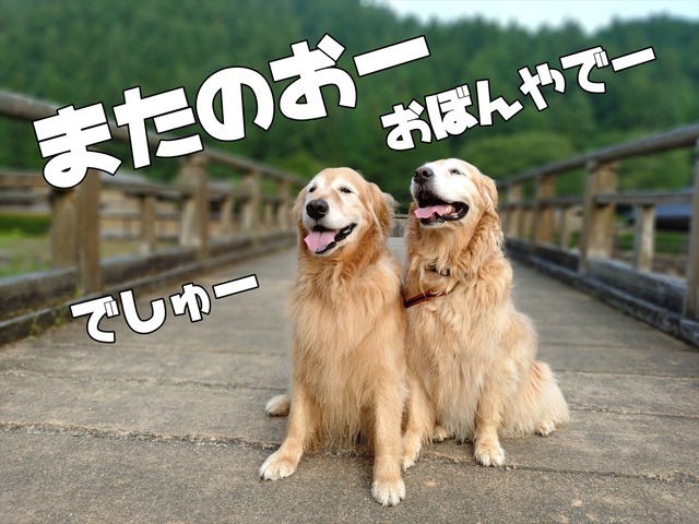 20250707_061402645_R