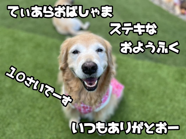 62ef2c5f-4569-49fa-81c2-2040960c03fe