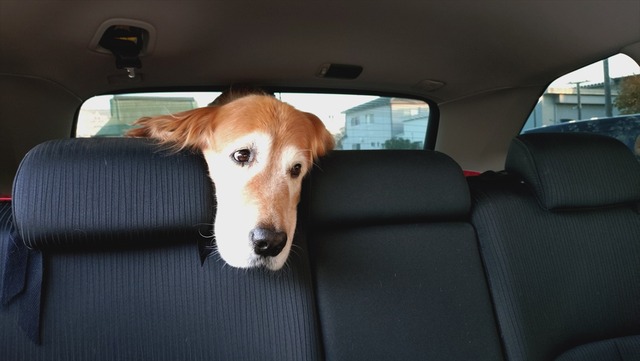 20251114_162525892_R