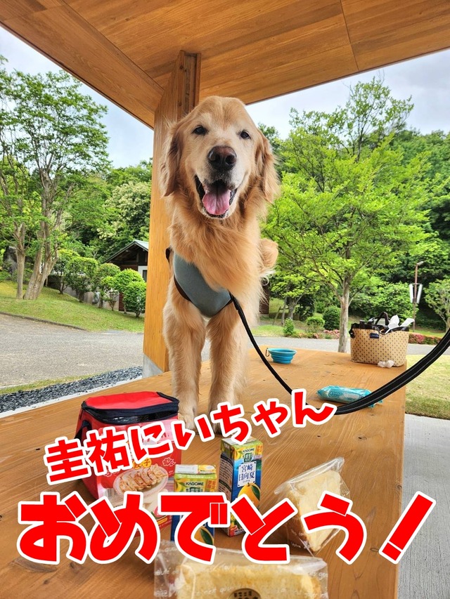 0dcbd334-f749-4fb0-bfc8-d6f1107e3b12