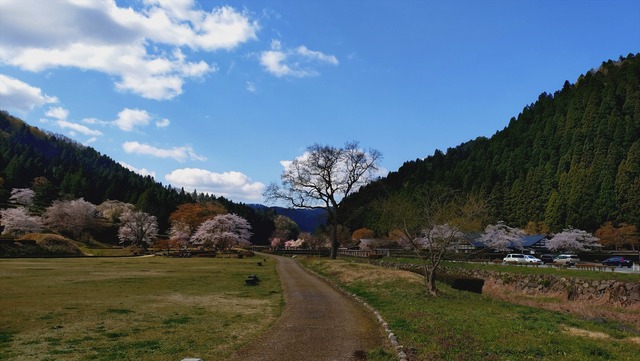 20260408_090445378_R