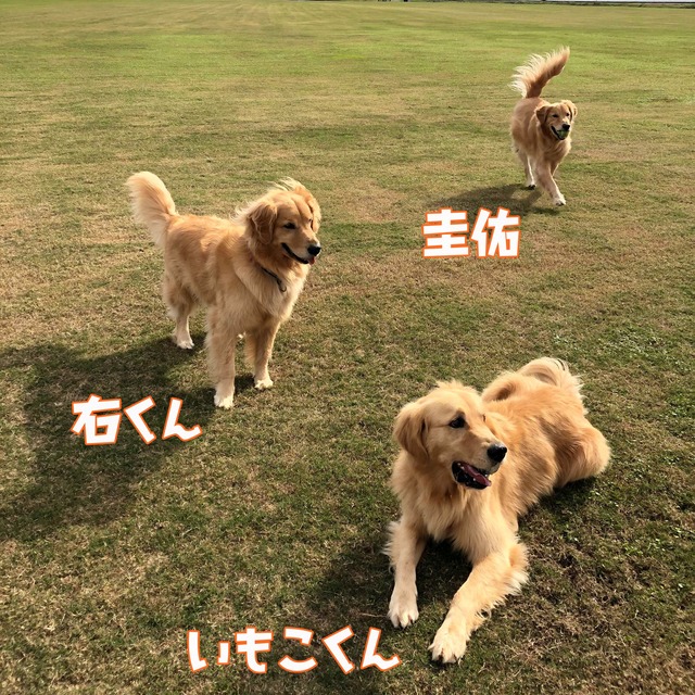 76697365_2388365251492915_6256913257370484736_n