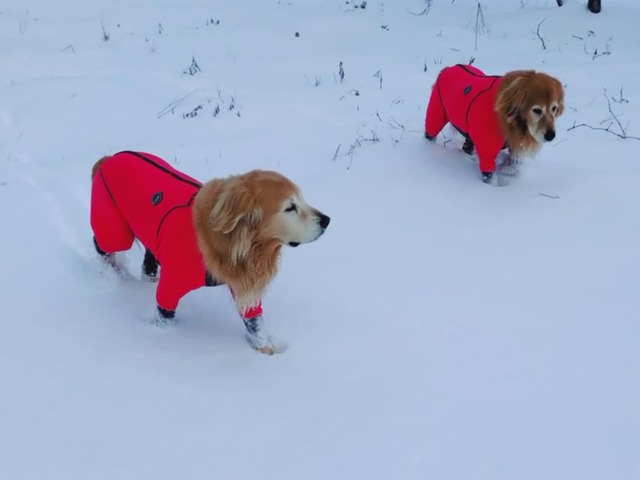 db257078-e581-4be4-8782-93c2f73f3563