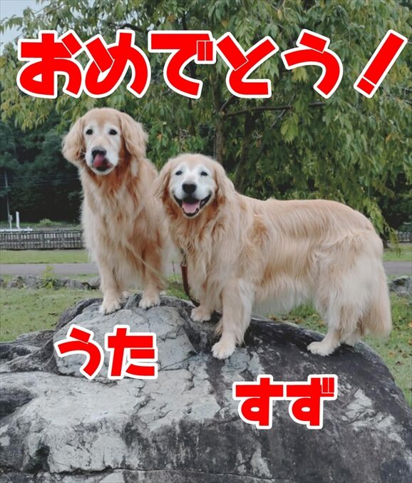 37a3c36f-0136-43c8-a96f-ce4270eb612f_R
