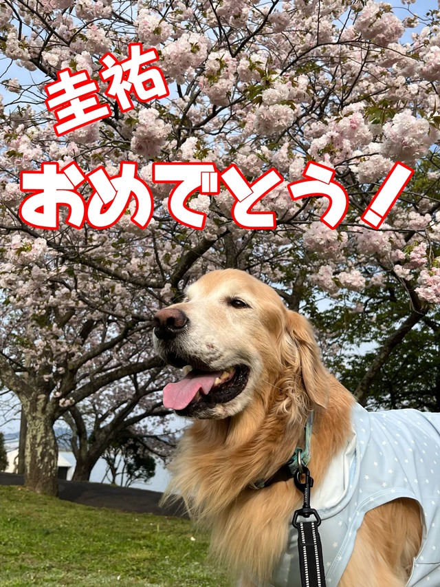 d221dbce-145c-4732-8937-911a3dab4701