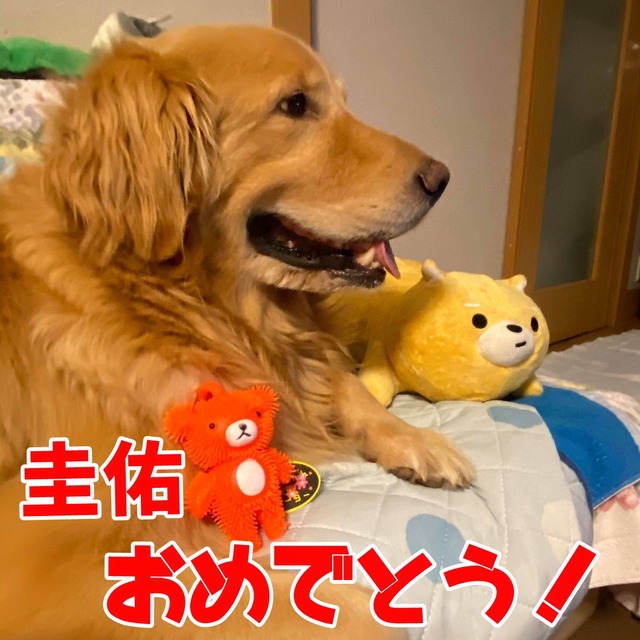 119170124_2712563738999440_1337831060760020021_n