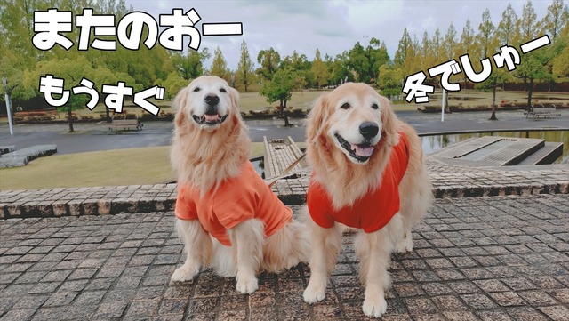 20251103_105452031_R