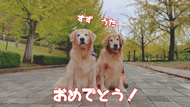 20251019_154228598_R