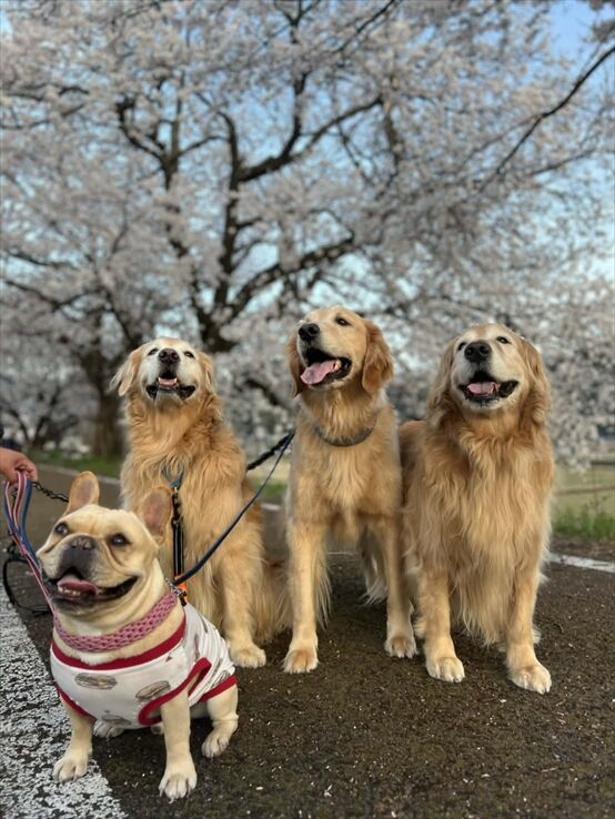 7e92a51c-f0f5-4c2e-98d0-8e0e6a237ef4_R