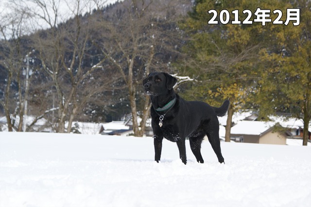 DSC00959_R