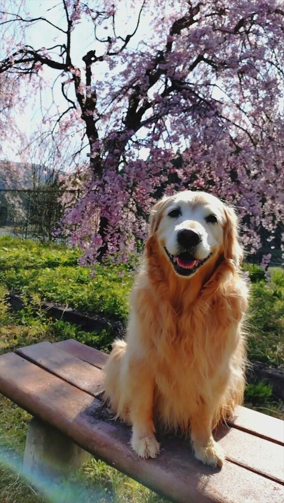 6e5d10e8-2d4a-445d-a387-0a0157c5cb18_R