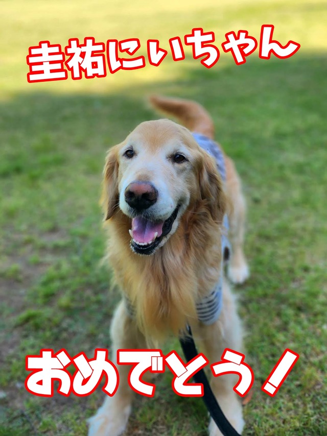 Messenger_creation_637e7498-4daa-4162-ba2b-30c900e3d1ef