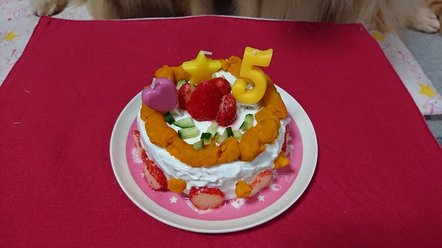 DSC_7698_R