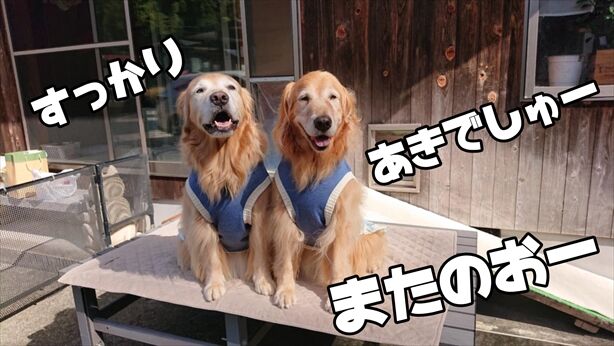 d9f8ccbe-1cf8-45d0-89ee-9e99d952eea3_R