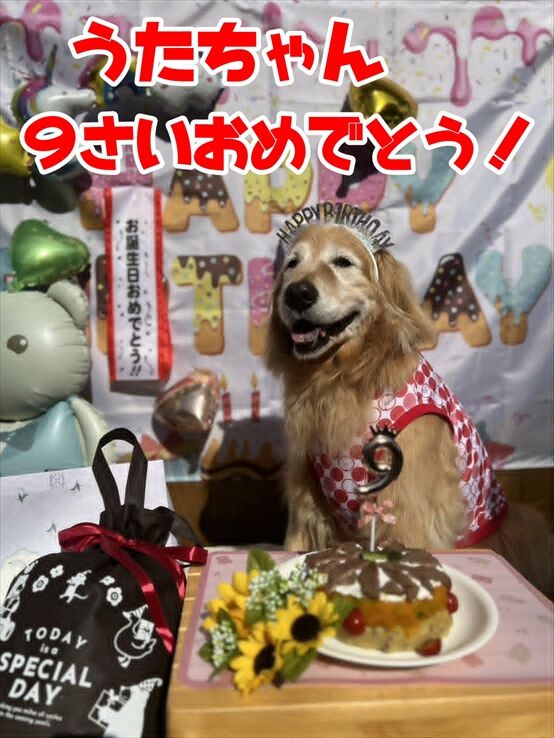5320ca97-3b8d-4e46-98f7-2c780c46484b_R