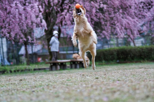 IMG_1970_R