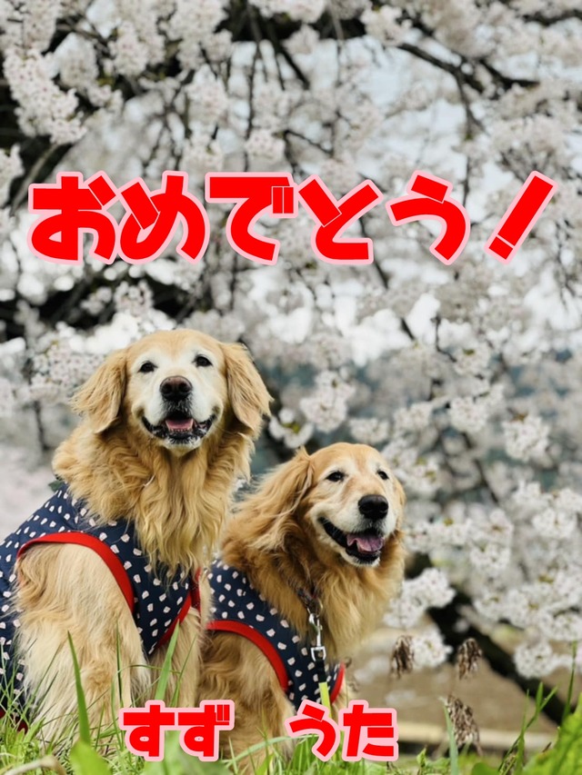 19867277-e6f1-47ba-aa82-865bdf01fc47