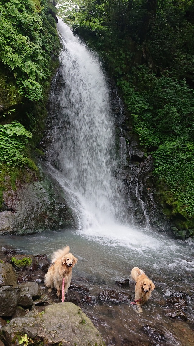 DSC_4165_R