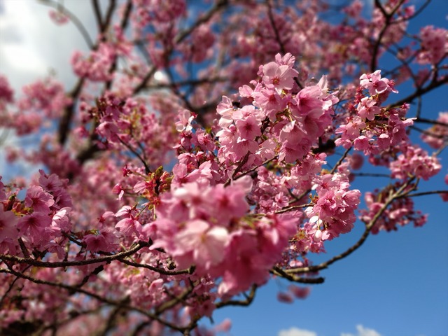 20260408_084957623_R