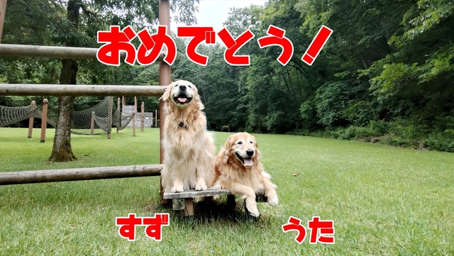 20260609_150439090_R