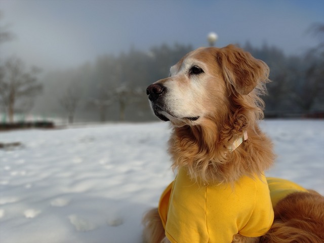 20251228_090853383_R