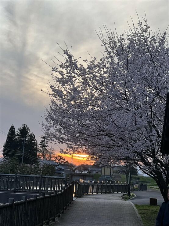 5005bbf0-756b-4ab3-b1fc-d218d4376c91_R