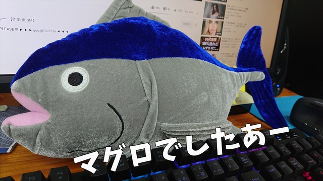 DSC_3316 - コピー_R