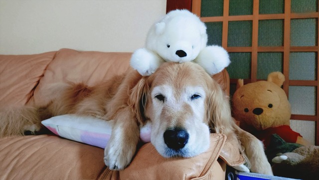 20251103_122607718_R