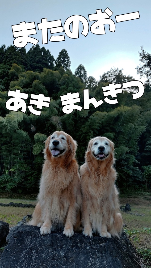 20260930_153045354_R