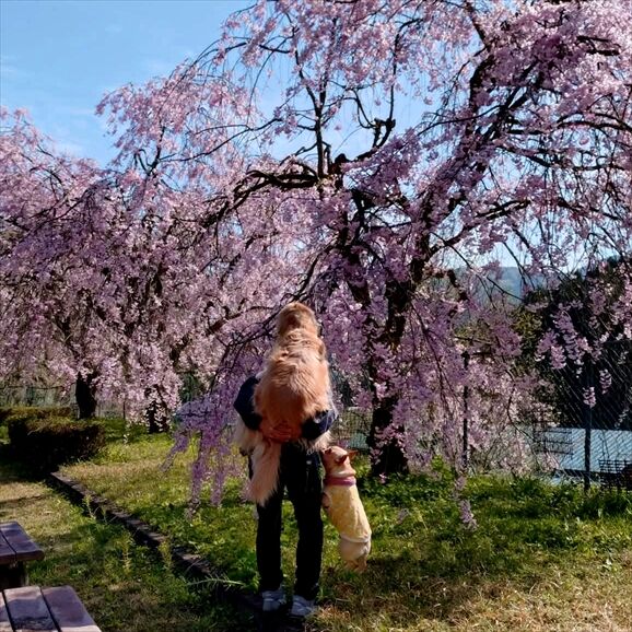 e5143abc-4f9c-4800-b157-6a932469789f_R