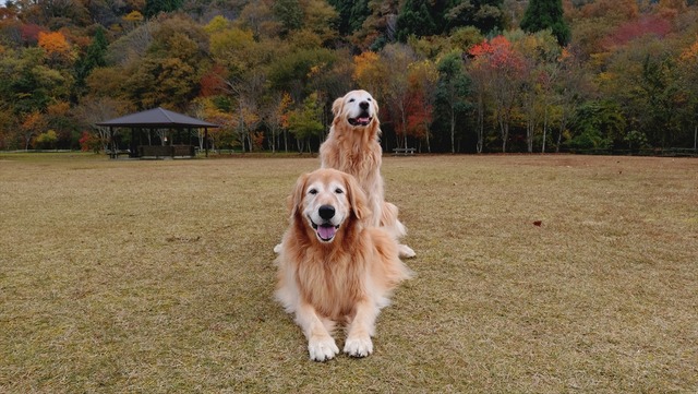 20251113_155511889_R