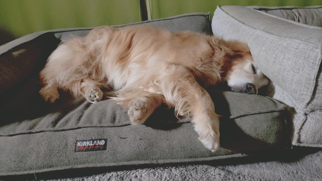 20251112_195804766_R