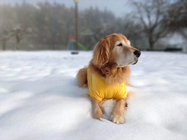 20251228_090734536_R