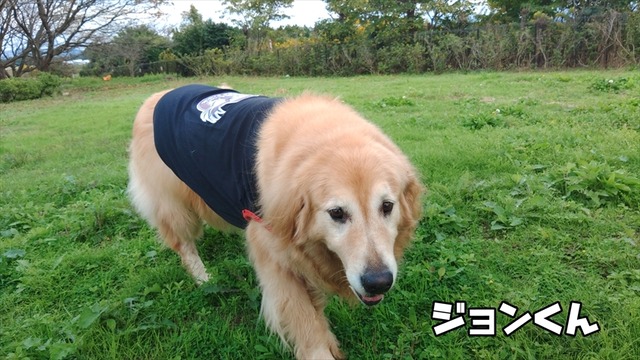 KIMG0766_02_BURST1000766_R