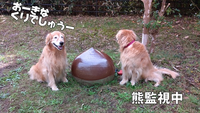 KIMG0806_05_BURST1000806_R