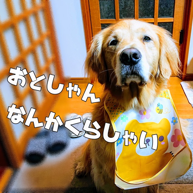 EFFECTS(2)