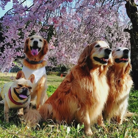 b1ae4bbf-22d4-476c-9836-66b42848a0d2_R