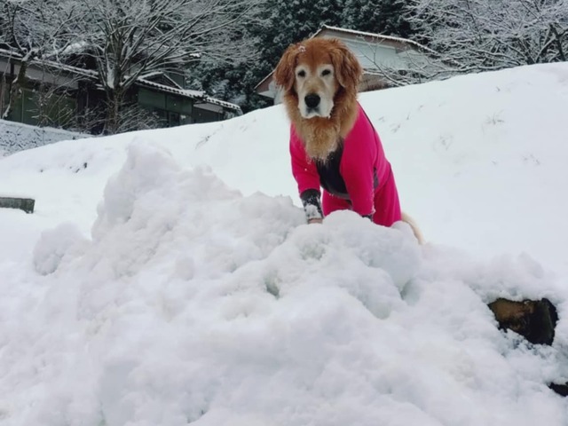 896843c2-76f7-46d4-9c83-182af97ec129