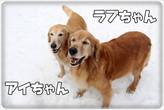 201502012246230ac