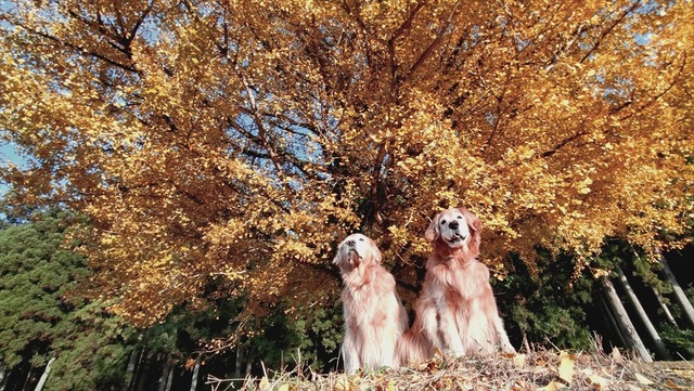 20251120_153806155_R