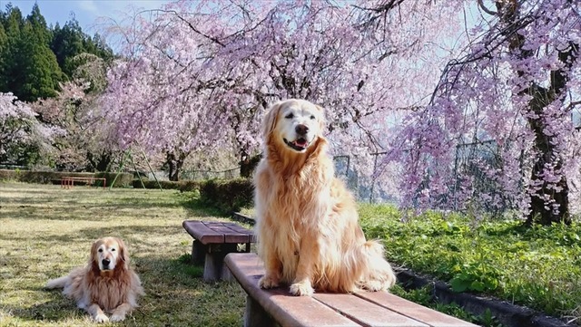 e1a01e9c-7f3a-42c3-82b0-d581abba7ead_R