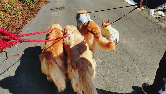 e264b177-a01b-4697-86d6-8b0eebb41fb0_R