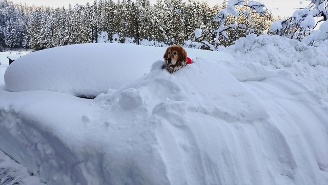 20260126_155827462_R