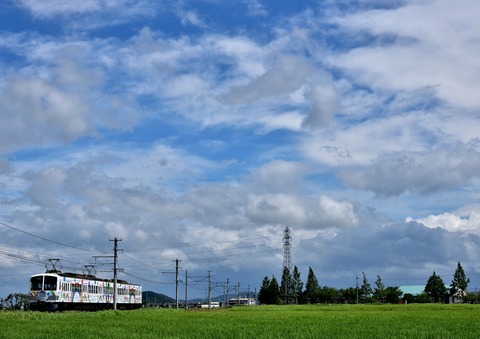 DSC_3099